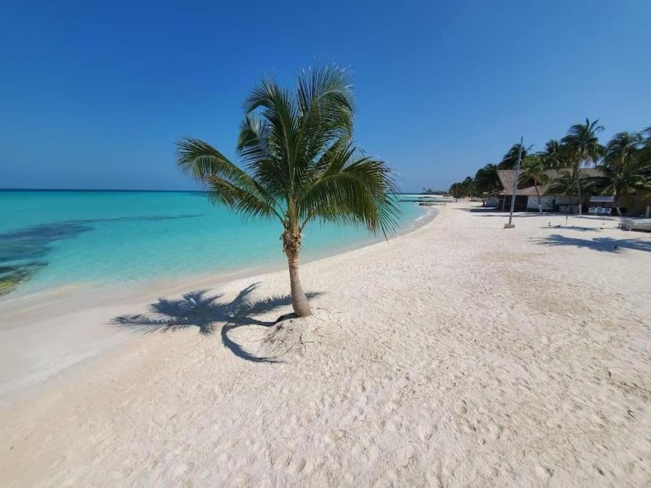 Casa Salina Lejlighed Isla Mujeres Eksteriør billede