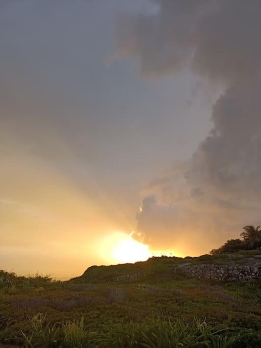 Casa Salina Lejlighed Isla Mujeres Eksteriør billede